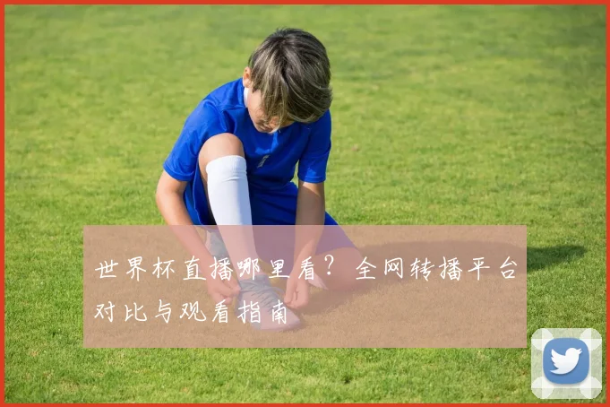 世界杯直播哪里看？全网转播平台对比与观看指南